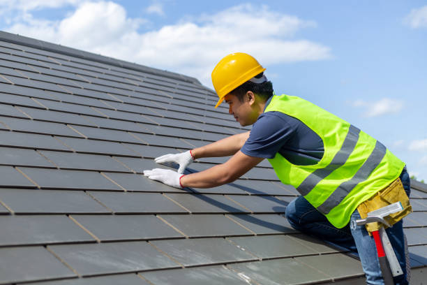 Best Roof Gutter Cleaning  in Lake Village, AR