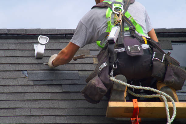 Best Roof Gutter Cleaning  in Lake Village, AR