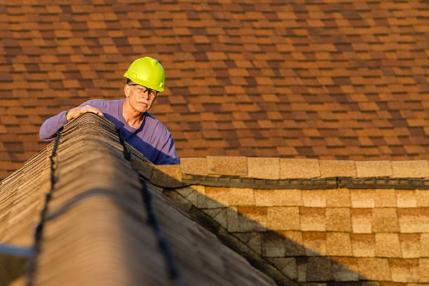 Best Slate Roofing Contractor  in Lake Village, AR